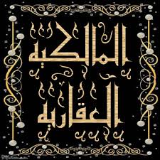 بدوى ديفلوبمنت